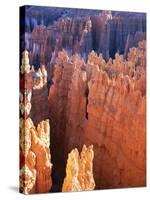 USA, Utah, Bryce Canyon-Hans Peter Merten-Stretched Canvas