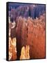 USA, Utah, Bryce Canyon-Hans Peter Merten-Framed Stretched Canvas