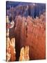 USA, Utah, Bryce Canyon-Hans Peter Merten-Stretched Canvas