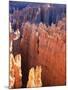 USA, Utah, Bryce Canyon-Hans Peter Merten-Mounted Premium Photographic Print