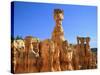 USA, Utah, Bryce Canyon-Rainer Hackenberg-Stretched Canvas