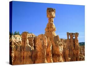 USA, Utah, Bryce Canyon-Rainer Hackenberg-Stretched Canvas