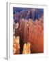 USA, Utah, Bryce Canyon-Hans Peter Merten-Framed Photographic Print