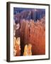 USA, Utah, Bryce Canyon-Hans Peter Merten-Framed Photographic Print