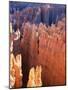 USA, Utah, Bryce Canyon-Hans Peter Merten-Mounted Photographic Print