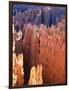 USA, Utah, Bryce Canyon-Hans Peter Merten-Framed Photographic Print