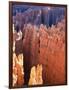 USA, Utah, Bryce Canyon-Hans Peter Merten-Framed Photographic Print