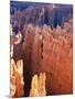 USA, Utah, Bryce Canyon-Hans Peter Merten-Mounted Photographic Print