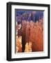 USA, Utah, Bryce Canyon-Hans Peter Merten-Framed Photographic Print