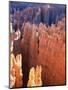 USA, Utah, Bryce Canyon-Hans Peter Merten-Mounted Photographic Print