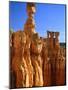 USA, Utah, Bryce Canyon-Rainer Hackenberg-Mounted Photographic Print