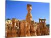 USA, Utah, Bryce Canyon-Rainer Hackenberg-Stretched Canvas