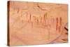 USA, Utah, Canyonlands, Horseshoe Canyon, Pictographs-Jamie & Judy Wild-Stretched Canvas