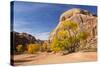 USA, Utah, Canyonlands National Park, Horseshoe Canyon-Jamie & Judy Wild-Stretched Canvas