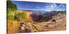 Usa, Utah, Canyonlands National Park, Island in the Sky District, Buck Canyon Overlook-Alan Copson-Stretched Canvas