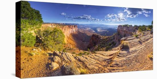 Usa, Utah, Canyonlands National Park, Island in the Sky District, Buck Canyon Overlook-Alan Copson-Stretched Canvas