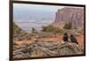 USA, Utah, Canyonlands National Park. Pair of Ravens on Log-Cathy & Gordon Illg-Framed Photographic Print