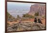 USA, Utah, Canyonlands National Park. Pair of Ravens on Log-Cathy & Gordon Illg-Framed Photographic Print