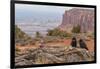 USA, Utah, Canyonlands National Park. Pair of Ravens on Log-Cathy & Gordon Illg-Framed Photographic Print