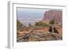 USA, Utah, Canyonlands National Park. Pair of Ravens on Log-Cathy & Gordon Illg-Framed Photographic Print