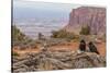 USA, Utah, Canyonlands National Park. Pair of Ravens on Log-Cathy & Gordon Illg-Stretched Canvas