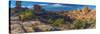 Usa, Utah, Canyonlands National Park, the Needles District, Big Spring Canyon Overlook-Alan Copson-Stretched Canvas