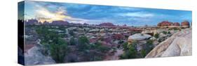 Usa, Utah, Canyonlands National Park, the Needles District, Chesler Park Trail-Alan Copson-Stretched Canvas