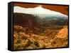 USA, Utah, Canyonlands, sunrise-George Theodore-Framed Stretched Canvas
