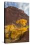 USA, Utah, Capitol Reef, Cottonwood Trees and Waterpocket Fold-Jamie & Judy Wild-Stretched Canvas