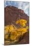 USA, Utah, Capitol Reef, Cottonwood Trees and Waterpocket Fold-Jamie & Judy Wild-Mounted Photographic Print