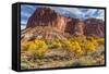 USA, Utah, Capitol Reef, Cottonwood Trees and Waterpocket Fold-Jamie & Judy Wild-Framed Stretched Canvas