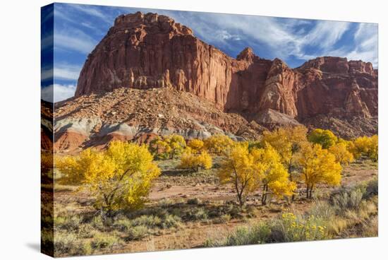 USA, Utah, Capitol Reef, Cottonwood Trees and Waterpocket Fold-Jamie & Judy Wild-Stretched Canvas