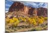 USA, Utah, Capitol Reef, Cottonwood Trees and Waterpocket Fold-Jamie & Judy Wild-Mounted Photographic Print