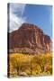 USA, Utah, Capitol Reef, Cottonwood Trees and Waterpocket Fold-Jamie & Judy Wild-Stretched Canvas