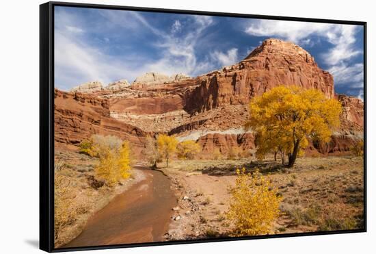 USA, Utah, Capitol Reef. Creek and Autumn Landscape-Jaynes Gallery-Framed Stretched Canvas