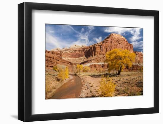 USA, Utah, Capitol Reef. Creek and Autumn Landscape-Jaynes Gallery-Framed Photographic Print