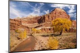 USA, Utah, Capitol Reef. Creek and Autumn Landscape-Jaynes Gallery-Mounted Photographic Print