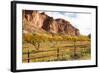 USA, Utah, Capitol Reef, Fruit Orchard with Waterpocket Fold-Jamie & Judy Wild-Framed Photographic Print