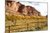 USA, Utah, Capitol Reef, Fruit Orchard with Waterpocket Fold-Jamie & Judy Wild-Mounted Photographic Print