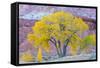 USA, Utah, Capitol Reef National Park, Cottonwood Tree-Jamie & Judy Wild-Framed Stretched Canvas