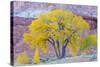 USA, Utah, Capitol Reef National Park, Cottonwood Tree-Jamie & Judy Wild-Stretched Canvas