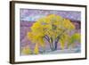 USA, Utah, Capitol Reef National Park, Cottonwood Tree-Jamie & Judy Wild-Framed Photographic Print