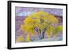 USA, Utah, Capitol Reef National Park, Cottonwood Tree-Jamie & Judy Wild-Framed Photographic Print