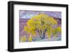 USA, Utah, Capitol Reef National Park, Cottonwood Tree-Jamie & Judy Wild-Framed Photographic Print