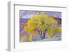 USA, Utah, Capitol Reef National Park, Cottonwood Tree-Jamie & Judy Wild-Framed Photographic Print