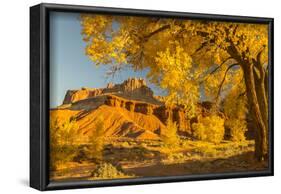 USA, Utah, Capitol Reef National Park. Cottonwood trees and The Castle rock formation.-Jaynes Gallery-Framed Photographic Print