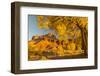 USA, Utah, Capitol Reef National Park. Cottonwood trees and The Castle rock formation.-Jaynes Gallery-Framed Photographic Print