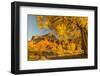 USA, Utah, Capitol Reef National Park. Cottonwood trees and The Castle rock formation.-Jaynes Gallery-Framed Photographic Print