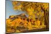 USA, Utah, Capitol Reef National Park. Cottonwood trees and The Castle rock formation.-Jaynes Gallery-Mounted Photographic Print