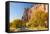 USA, Utah, Capitol Reef National Park, Highway 24 and Cottonwoods-Jamie & Judy Wild-Framed Stretched Canvas